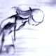 ilustracja